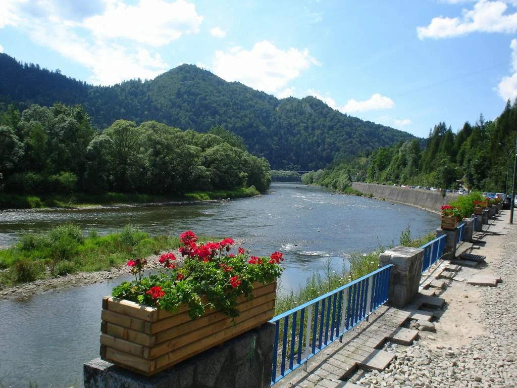 Zdjęcie z galerii