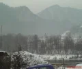 Zdjęcie z galerii